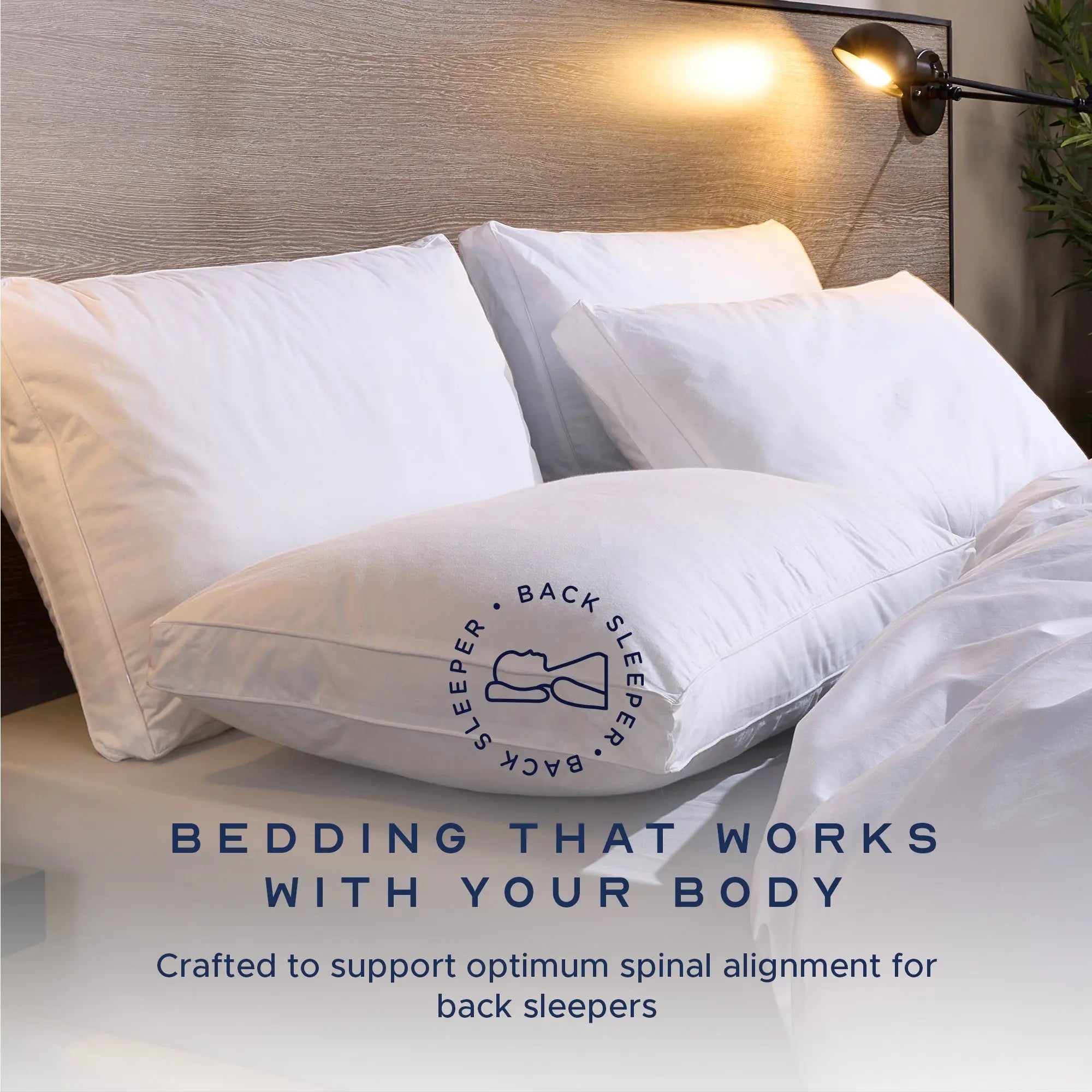 Luxurious Back Sleeper Pillow John Cotton Production