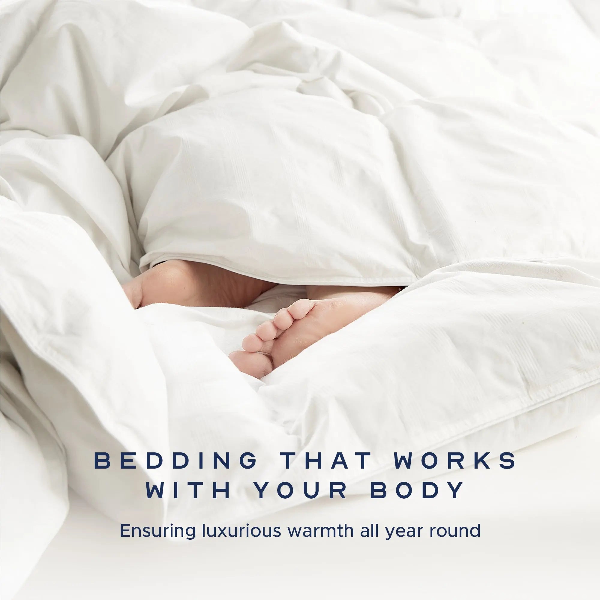Sumptuous Hungarian Goose Down Duvet John Cotton Production