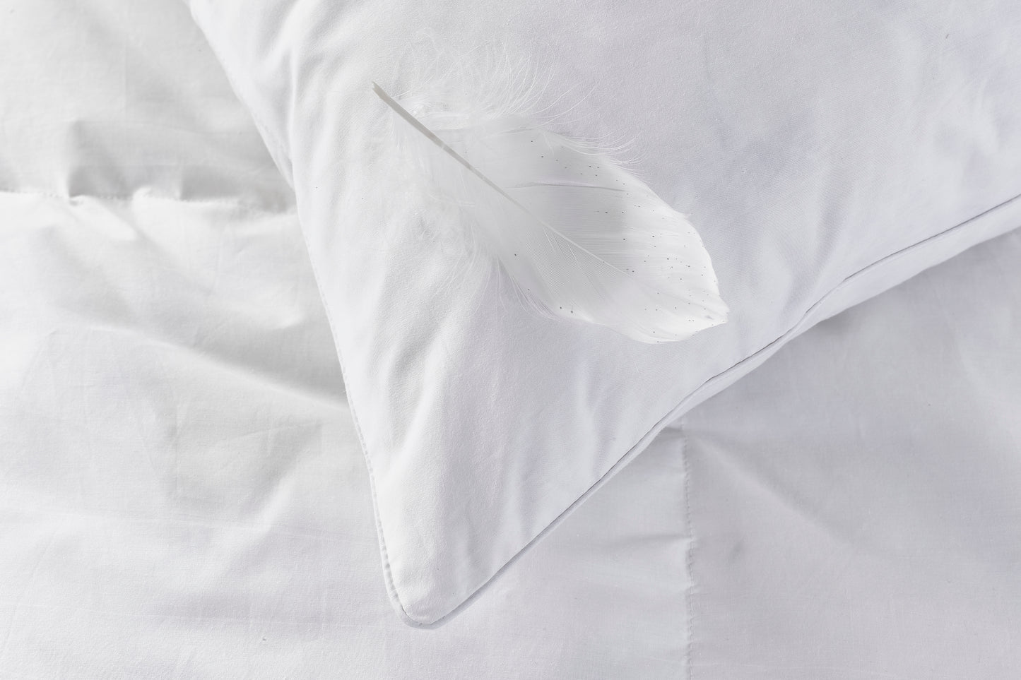 Signature Goose Feather and Down Pillow