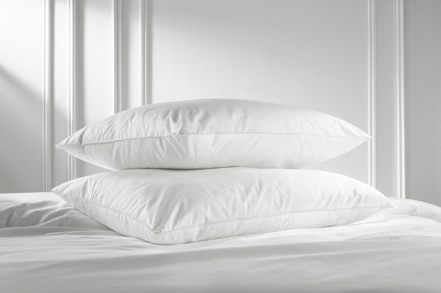 Luxurious Cotton Pillows