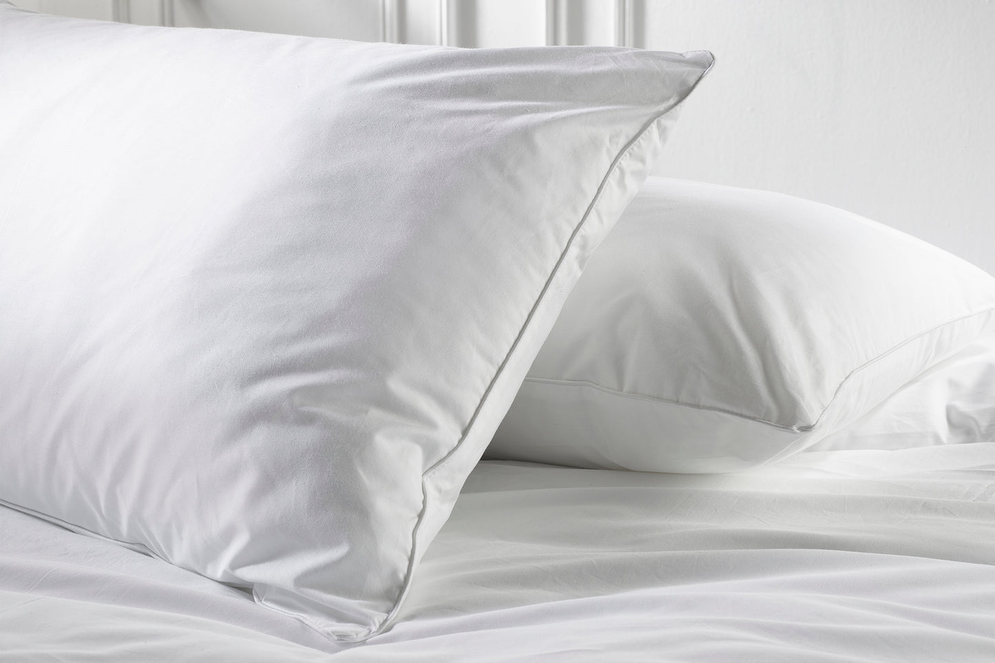 Luxurious Cotton Pillows