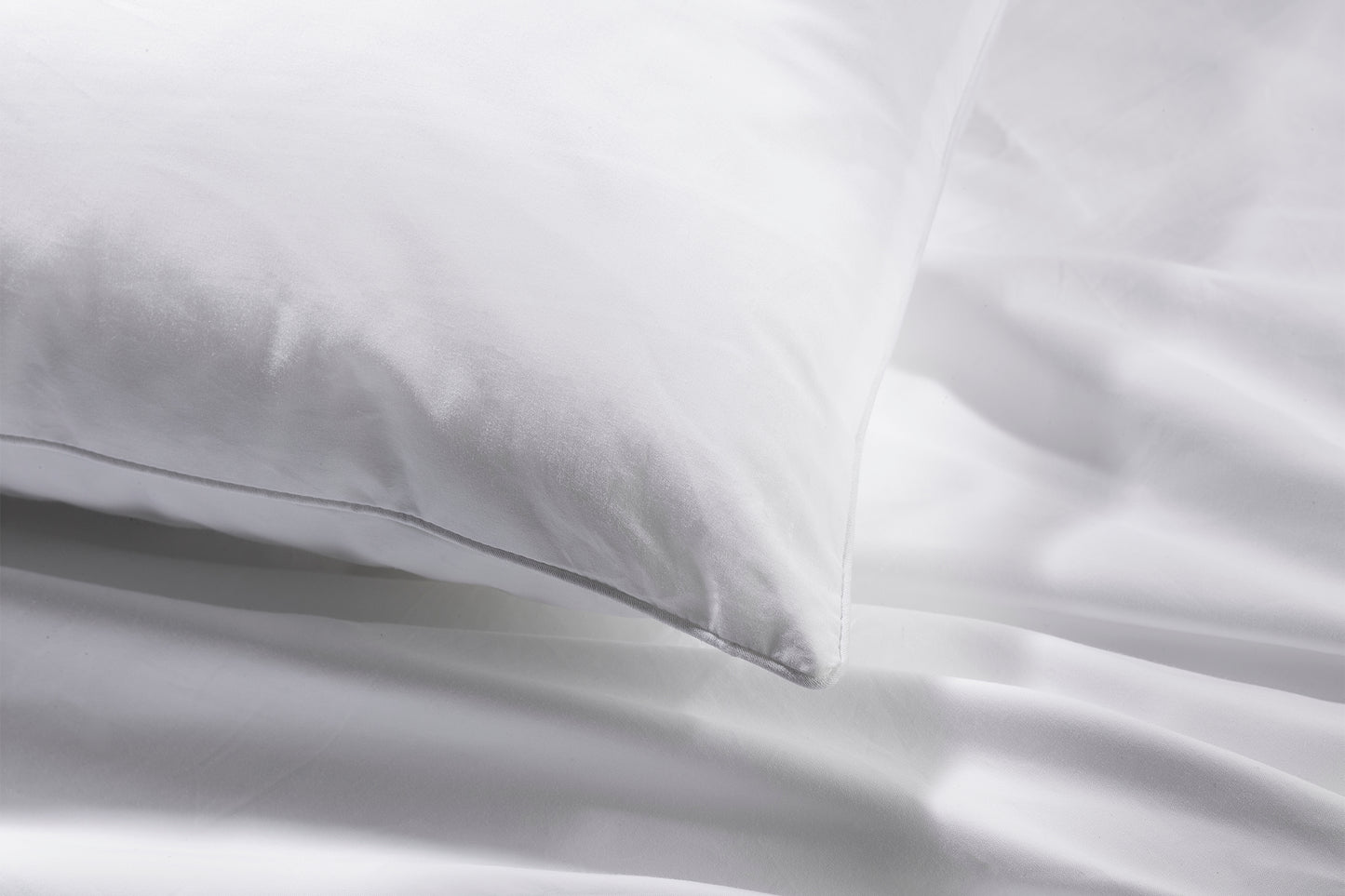 Luxurious Cotton Pillows