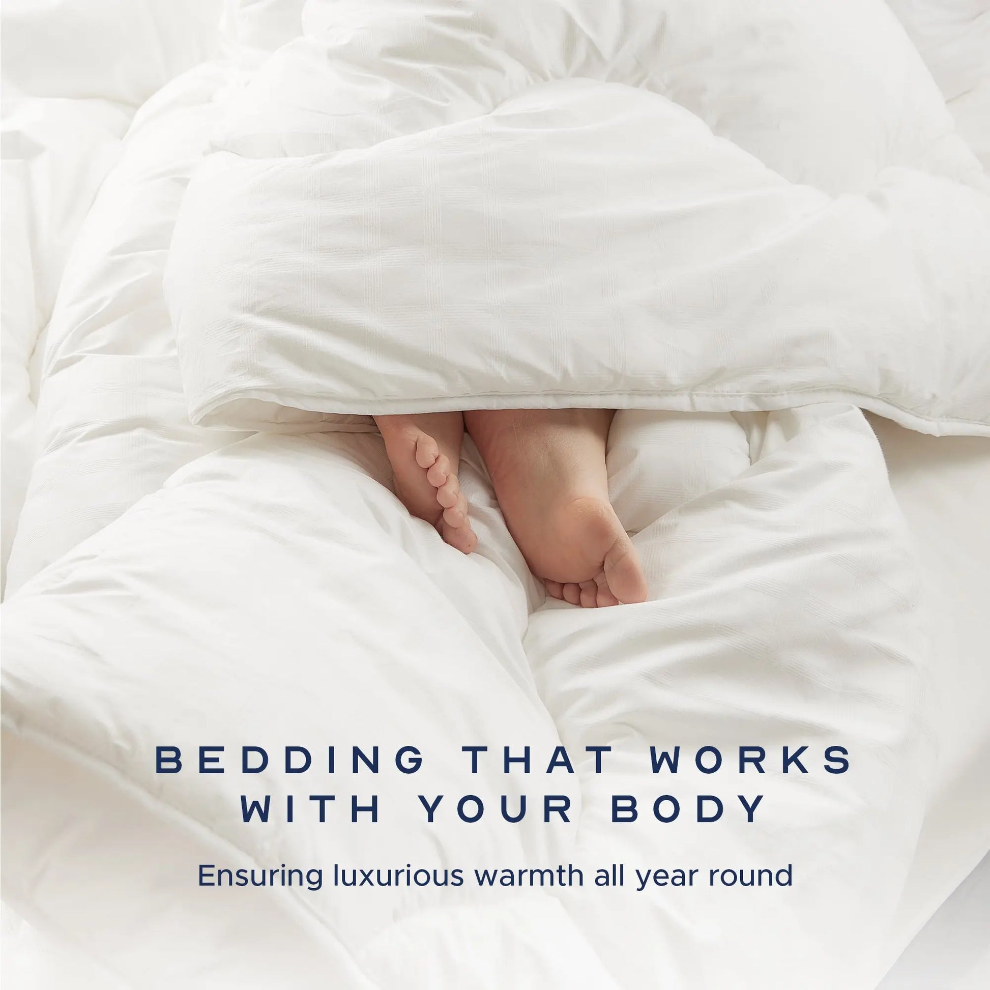 Indulgent Cotton Duvet John Cotton Production