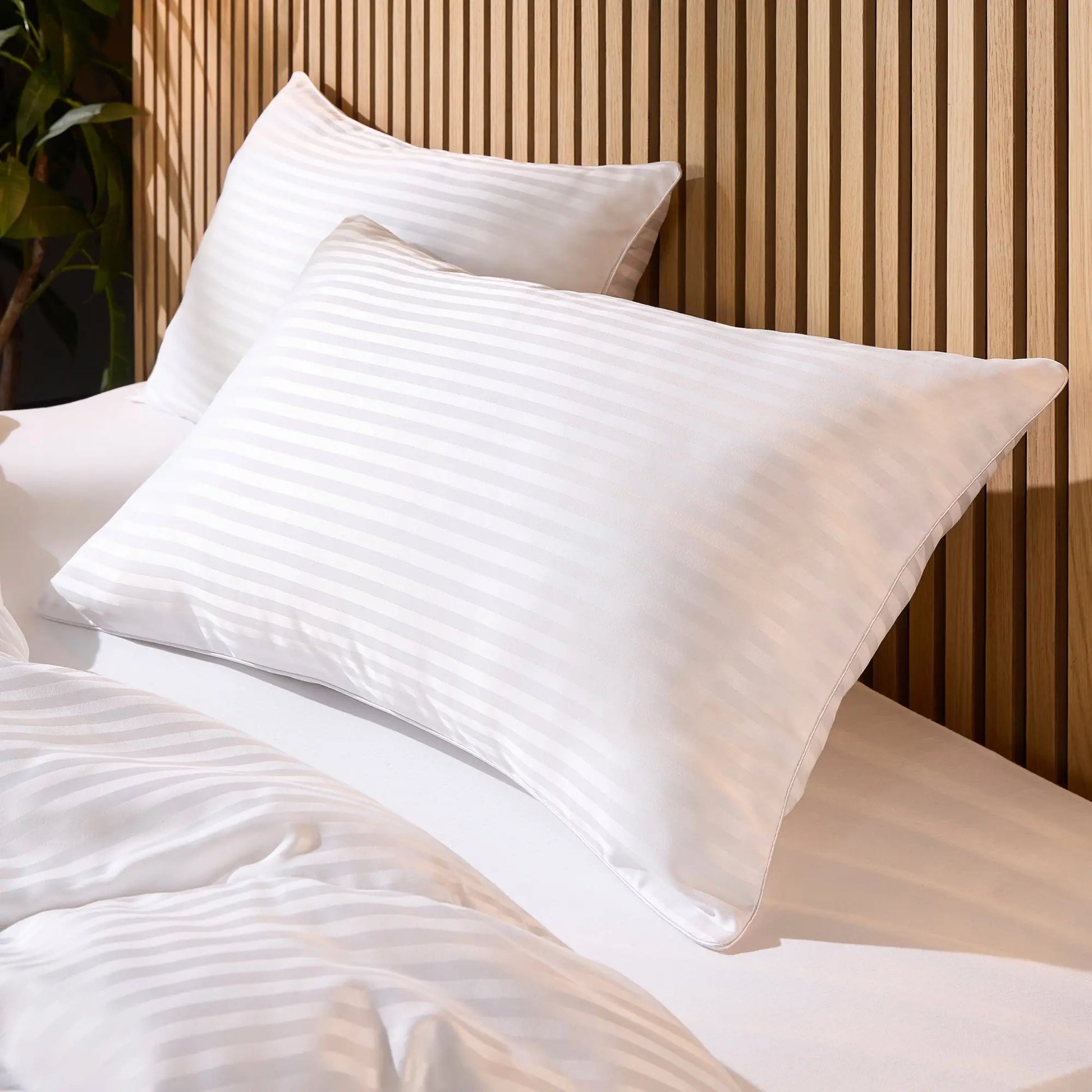 Luxurious Soft & Cosy Duvet John Cotton Production