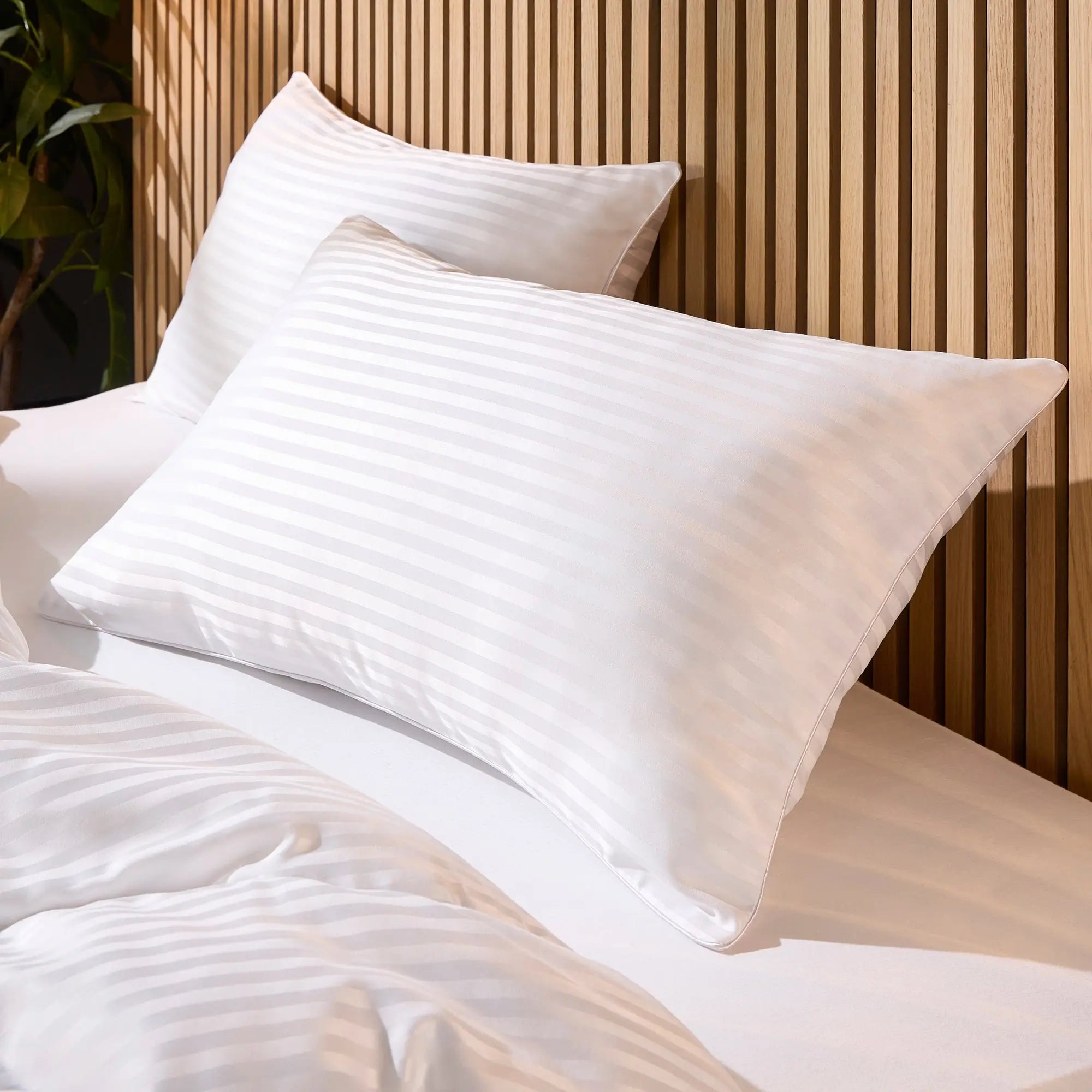 Luxurious Soft & Cosy Duvet John Cotton Production