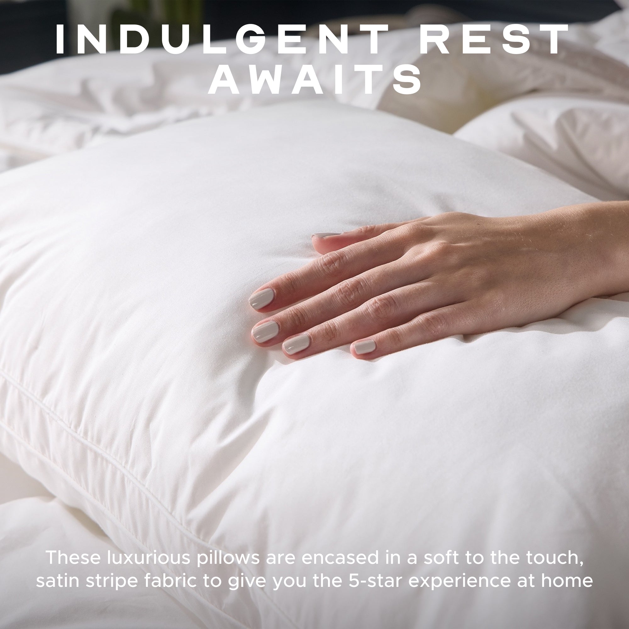 Indulgent Cotton Pillow