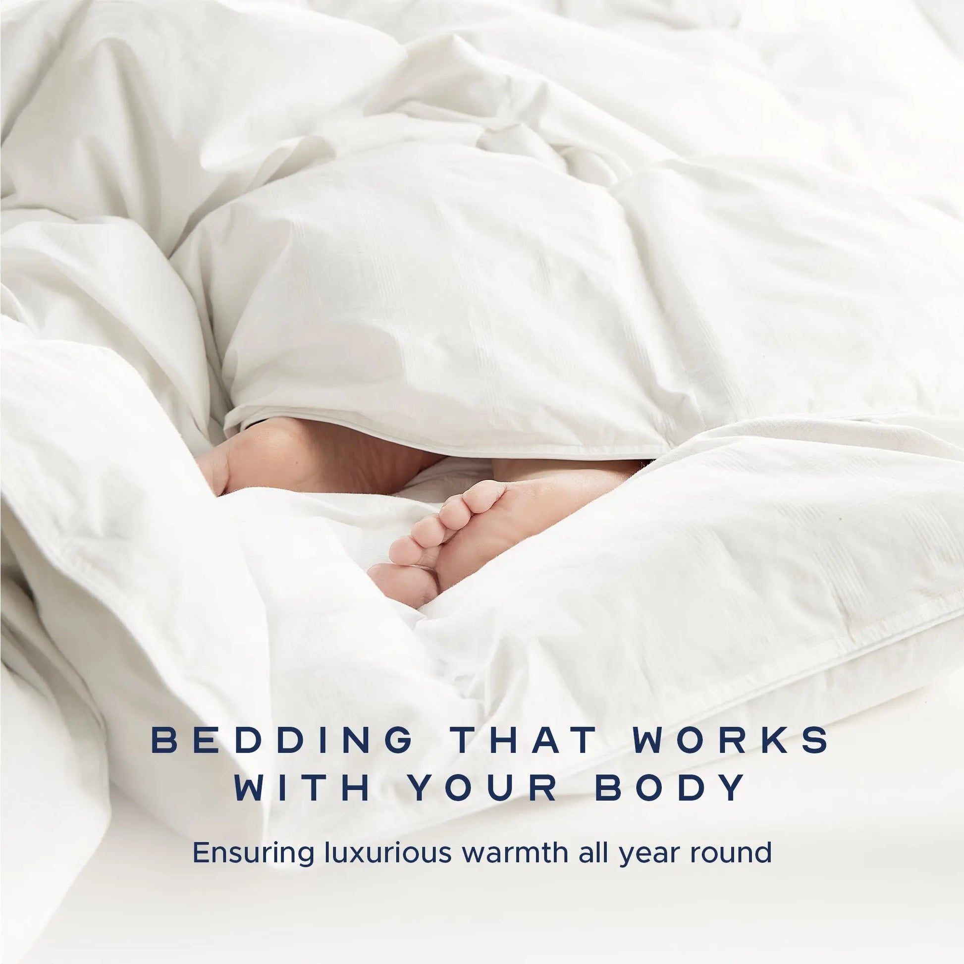 Sumptuous Hungarian Goose Down Duvet John Cotton Production